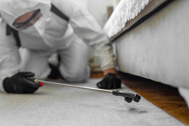 Professional Termite Control technician working in Miller, SD