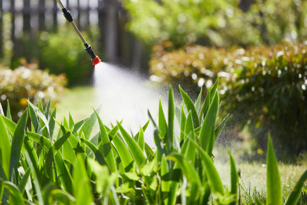 24/7 Emergency Termite Control experts in Miller, SD