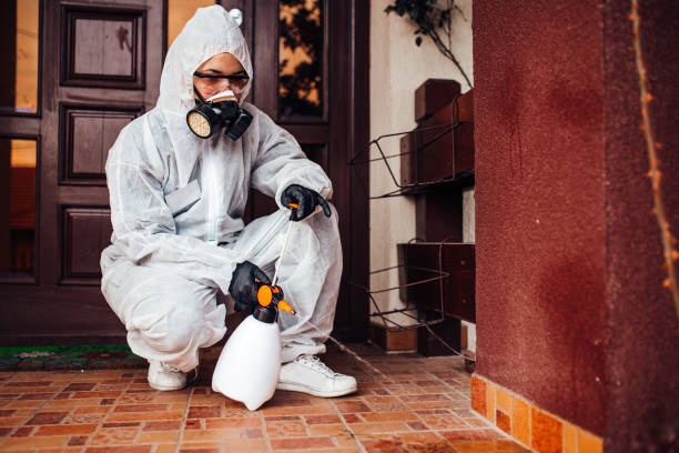 Reliable Termite Control contractor in Miller, SD by Nex Pest Control