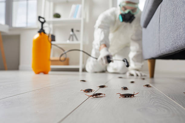Affordable Termite Control solutions in Miller, SD